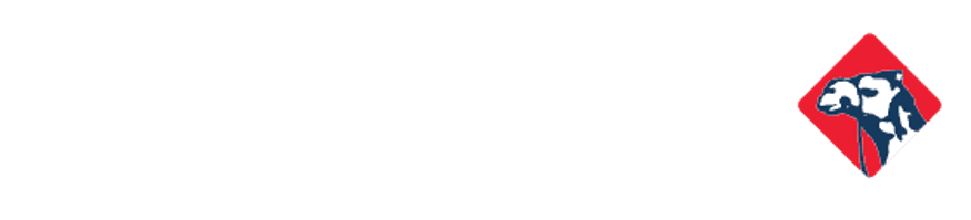 العيسى للسيارات - الشركة الوطنية العمومية للسيارات